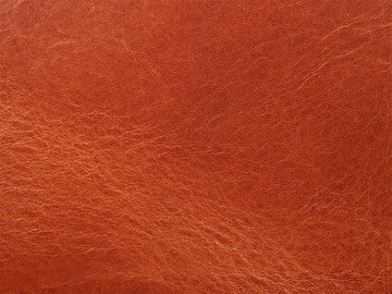 プリマヴェーラ・コニャック 06